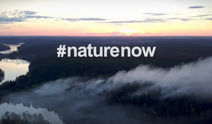 Protegir, restaurar i finançar la natura, clau per la lluita contra el canvi climàtic. Font: Natural Climate Solutions