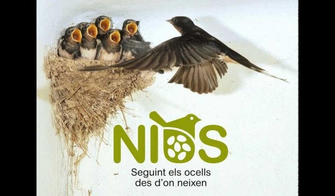 Nius.cat és un portal de ciència ciutadana per localitzar nius d'aus  Font: nius.cat