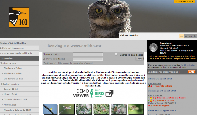 L'Associació Institut Català d'Ornitologia impulsa diversos projectes de voluntariat i ciència ciutadana Font: ICO