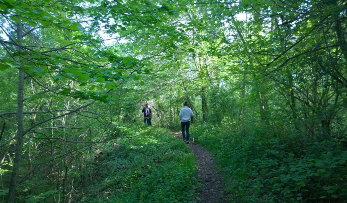 Un itinerari saludable en un bosc de La Garrotxa Font: Associació Sèlvans