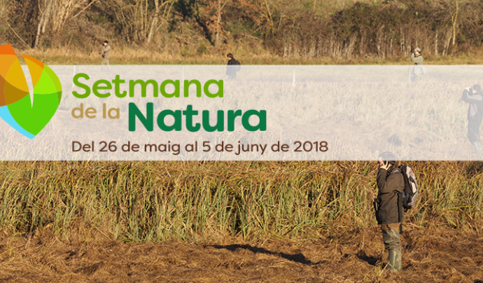 Les polseres verdes, símbol del compromís ambiental de les persones participants en la Setmana de la Natura Font: Setmana de la Natura