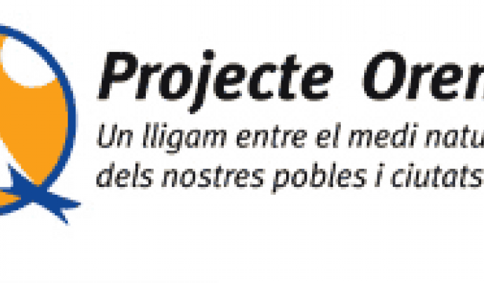 Logo projecte 