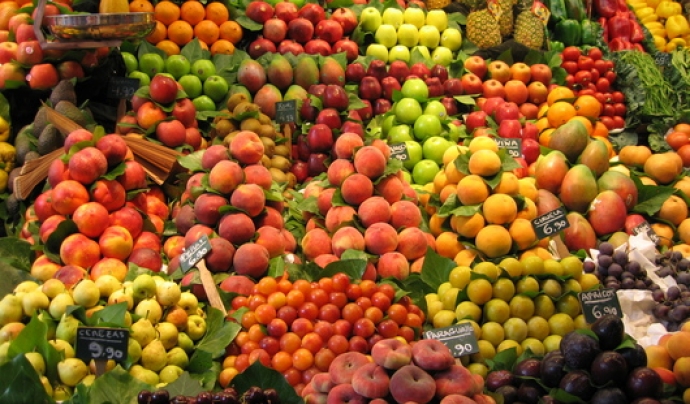 La fruita és imprescindible a la dieta. Font: Mª Dolores Piñero (tucamon.es)