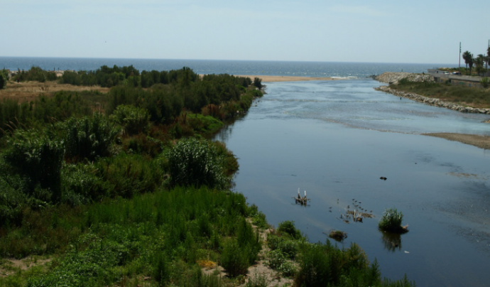 ‘Viu el Besòs!’ és un pla de conservació, restauració i preservació del riu Besòs.  Font: Viu el Besòs