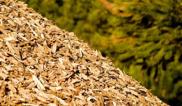 Biomassa (foto: flickr, Rui Ornelas) Font: 