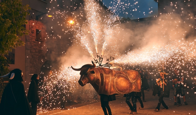 Bou de foc de Santpedor Font: Festival d'Enceses d'Artesa de Lleida