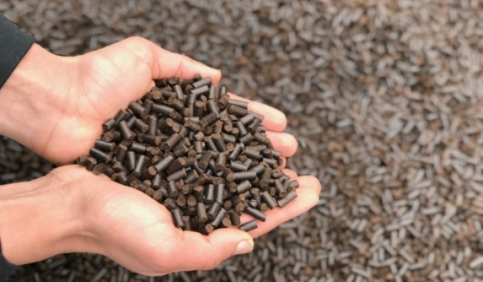 El projecte recol·lecta residus de cafè per a convertir-los en pèl·lets de biomassa Font: Up Energía