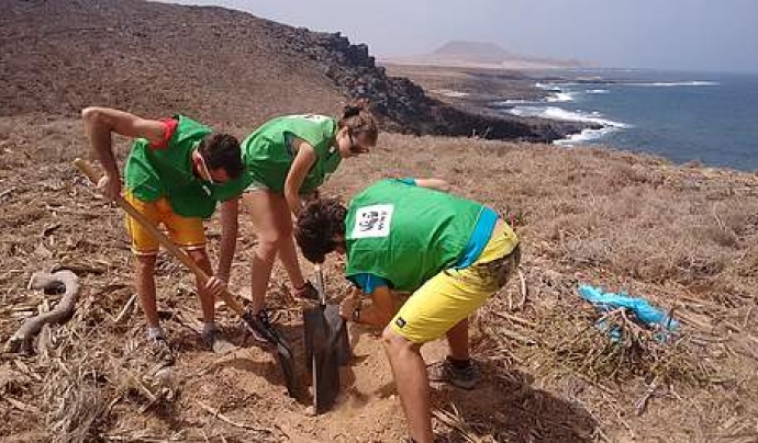 Voluntaris i voluntàries a l'illa de La Graciosa amb WWF (imatge: wwf ) Font: 