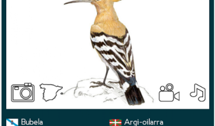 "Las Aves de España" de SEO/Birdlife Font: 