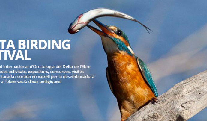 Delta Birding Festival Font: 
