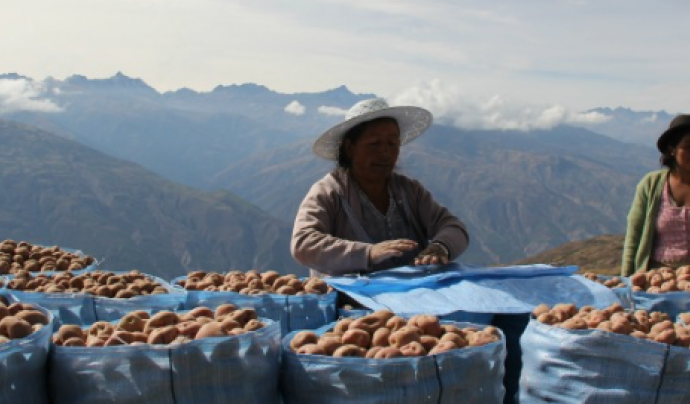 Dones de Bolívia amb cultius locals Font: 