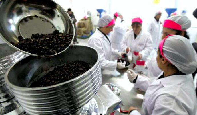 Dones treballant en la producció de cafè a la Cooperativa Lazzarelle a la presó, un cas esmentat en el treball d'Elisa Segués Font: Cooperativa Lazzarelle