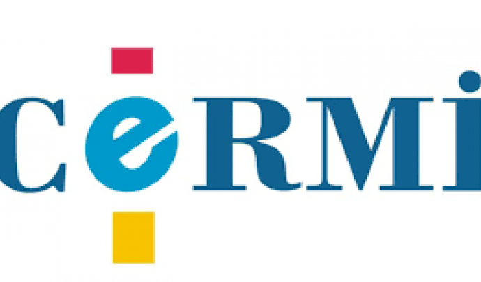 Logotip del CERMI Font: CERMI