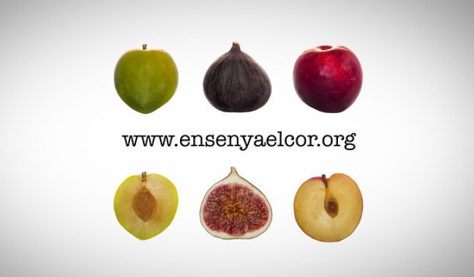 Imatge de la campanya Ensenya el cor, fes balanç social Font: 
