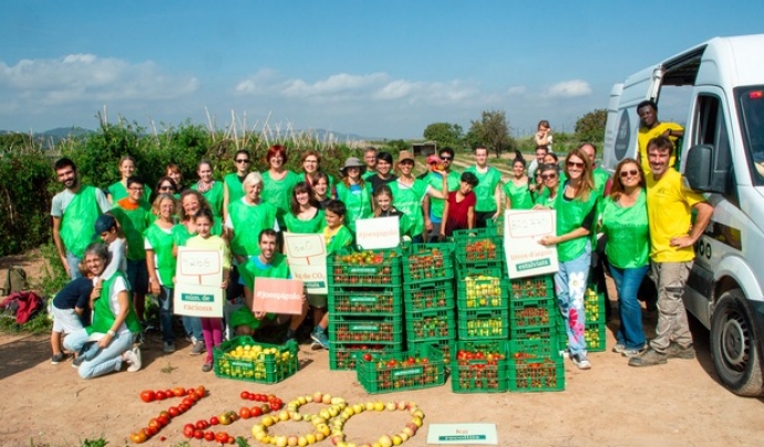 Una imatge d'una acció dels Espigoladors de l'any passat en la qual es van aplegar sis mil quilos de fruita i verdura. Font: Espigoladors