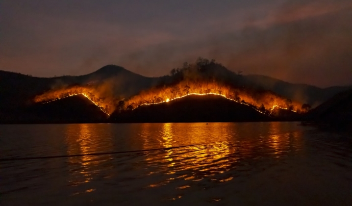 Els focs ja han arrassat amb 10 milions d'hectàrees, sent Nova Gales del Sur una de les zones més afectades. Font: Unsplash. Font: Font: Unsplash.