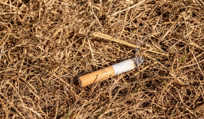 Deixar caure burilles de cigarreta és un dels motius més habituals de l'origen dels focs que augmenten d'intensitat per l'abandonament de la gestió del medi foral.  Font: Llicència CC