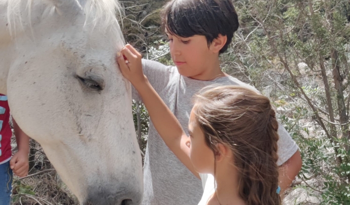 Forest Horses organitza diverses activitats de voluntariat en família al voltant dels cavalls i la gestió forestal. Font: Forest Horses