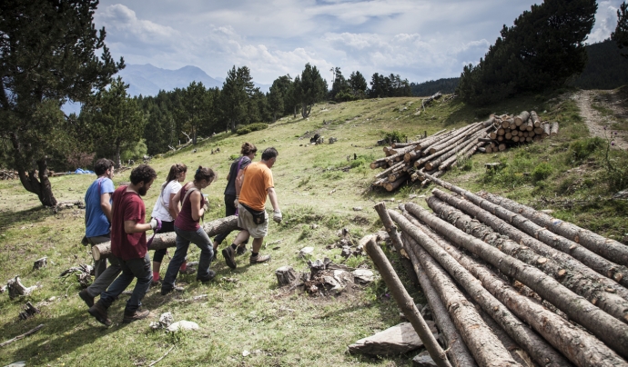 Les activitats que es desenvolupen en el marc del Projecte Boscos de Muntanya tenen com a objectiu la cura del bosc per garantir-ne un bon estat de salut. Font: Projecte Boscos de Muntanya