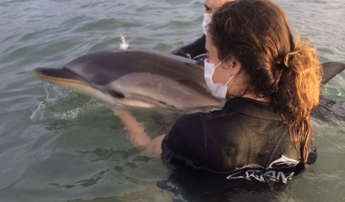 L'entitat ha fet més de 400 assistències a encallaments de dofins i balenes: Font: Elsa Jiménez. Font: Font: Elsa Jiménez.