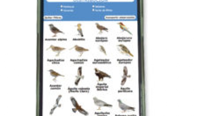 Seo Bird Life presenta una web app per identificar aus (imatge: seo.org) Font: 
