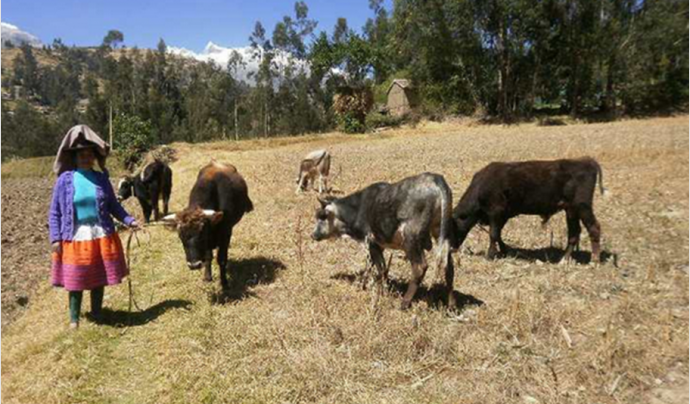 Comunitat d'Huapra, als Andes peruans (Font: Projecte Huapra) Font: 