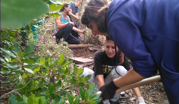 Jornades de voluntariat de boscos mediterranis del 2018 Font: GEPEC - Ecologistes de Catalunya