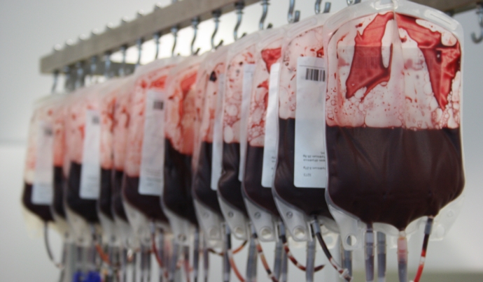 Bosses de sang al laboratori del Banc de Sang i de Teixits. Foto: Alba Pueyo. Font: 