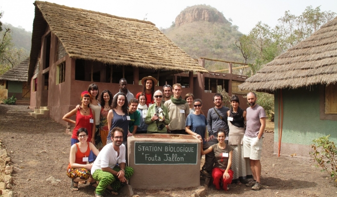 Un estiu amb l'equip de Jane Goodall, ximpanzés i més, a la selva africana Font: 