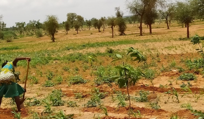 Kaya és una zona molt seca, tocant al Sahel, amb molta escassetat d’aigua. Font: Mujeres Burkina