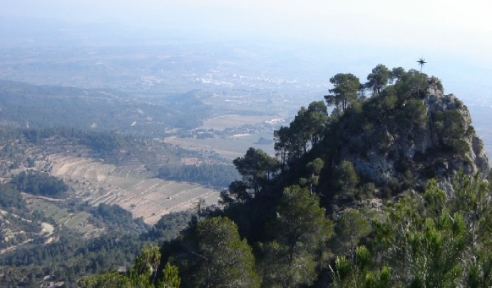 Muntanya de La Picossa. Font: Associació La Picossa Font: 