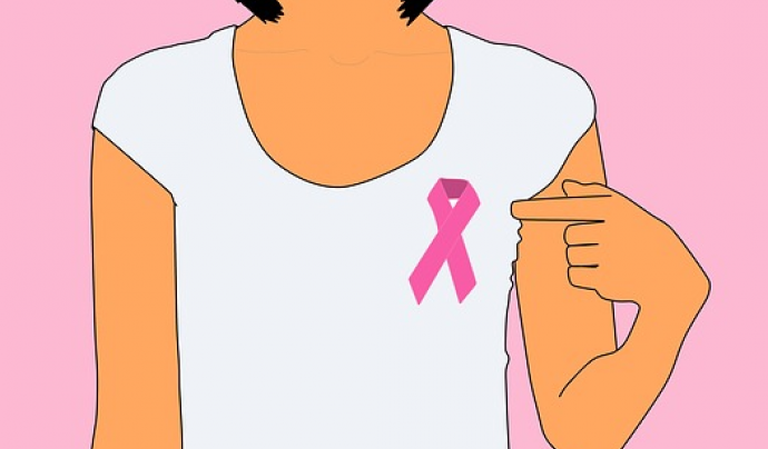 El llaç rosa és el símbol de la lluita contra el càncer de mama Font: Waldryano a Pixabay