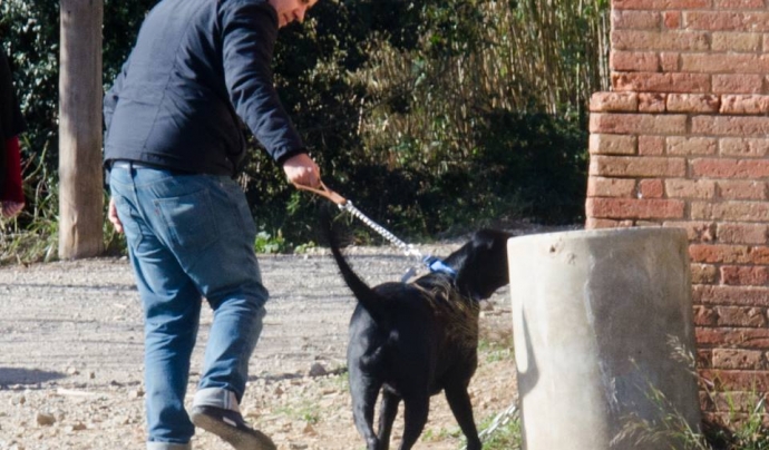 Voluntaris de la LLiga passejant a un gos (imatge:protectorabcn.es) Font: 