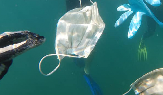 Des de WWF han impulsat una campanya de conscienciació per reduir el consum de plàstics d’un sol ús Font: WWF