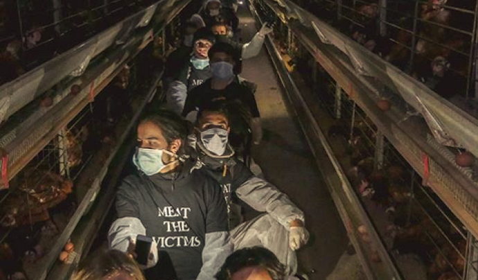 Acció de la campanya Meat the Victims Font: Action for Liberation