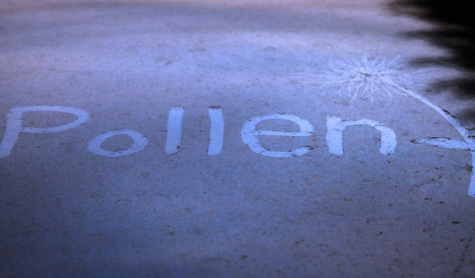 Pollen. Fotografia de l'usuari Flickr Dome Poon