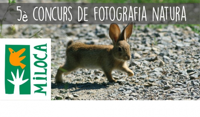 Miloca organitza el 5è concurs de fotografia de natura (imatge: miloca.org) Font: 