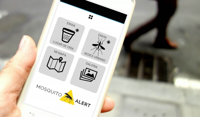 Amb l'app Mosquitoalert es pot contribuir al segument iel control del mosquit tigre i el  mosquit de la febrer groga (imatge: creaf.cat) Font: 
