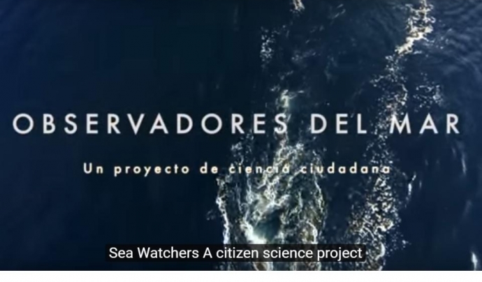 El portal Observadors del Mar ofereix la possibilitat de col·laborar en 12 projectes de ciència ciutadana (imatge: observadorsdelmar.cat)