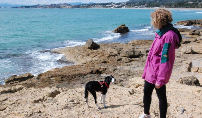 Passejada amb gossos per la platja de Tarragona Font: Centre Excursionista de Tarragona 