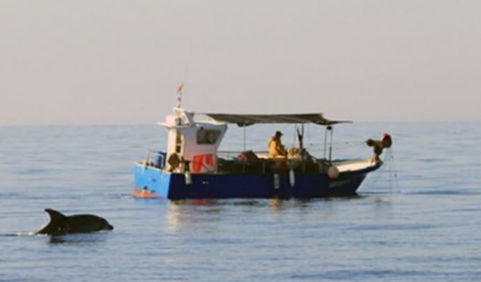 El projecte vol preservar els cetacis i altres sers vius que formen part del nostre litoral. Font: SUBMON