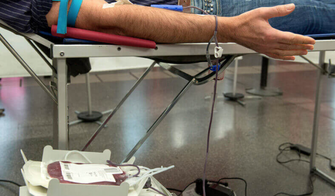 Persona donant sang. Font: Banc de Sang