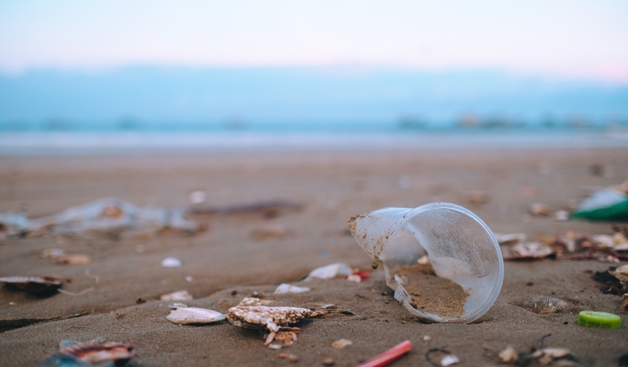 La petjada humana deteriora els ecosistemes i la biodiversitat de les platges, amb contaminació sonora i lumínica, i l'abocament de residus. Font: Adobe Stocks
