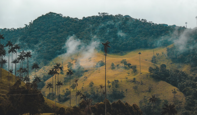 El poble Awá viu al sud-est de Colòmbia, al Departament de Nariño, i fa dècades que pateixen la violència del sistema extractivista. Font: Llicència CC Unsplash