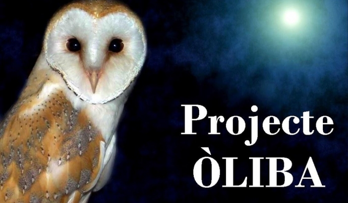 Imatge del projecte Oliba de l'APNAE (imatge; APNAE) Font: 