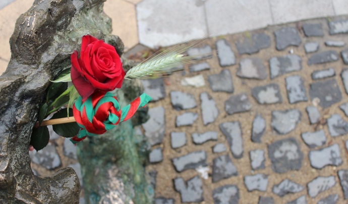 Dues roses, una de vermella i una amb el colors del fulard de l'Agrupament Escolta i Guia Sant Pere de Figueres. Font: Minyons Escoltes i Guies de Catalunya Font: Minyons Escoltes i Guies de Catalunya