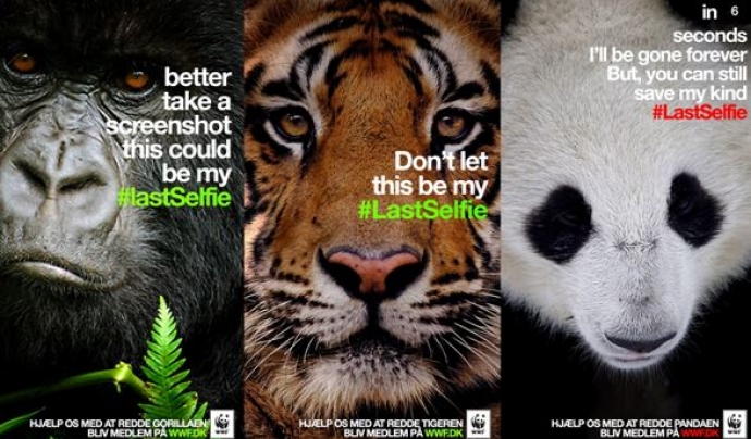 The #lastselfie, una campanya a les xarxes socials de WWF  Font: WWF