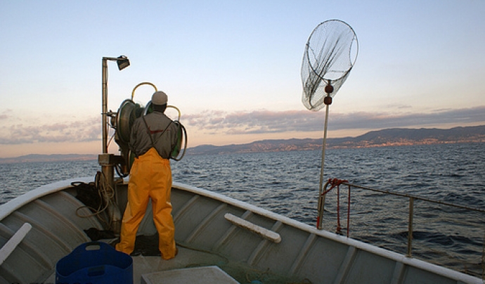 Els pescadors d'Arenys col·laboren amb entititas ambientals i institucion científiques per practicar la pesca sostenible (imatge:submon.org) Font: 