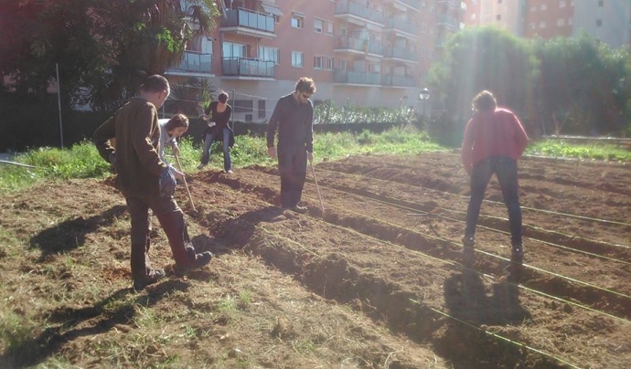 Estudiants de la URV col·laborant en l'adequació del sòl de l'hort Font: 