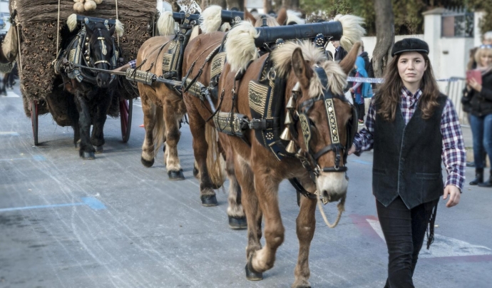 Els Tres Tombs és una tradició popular catalana que ret homenatge als animals de treball, especialment als cavalls. Font: Federació Catalana dels Tres Tombs